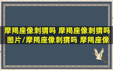 摩羯座像刺猬吗 摩羯座像刺猬吗图片/摩羯座像刺猬吗 摩羯座像刺猬吗图片-我的网站